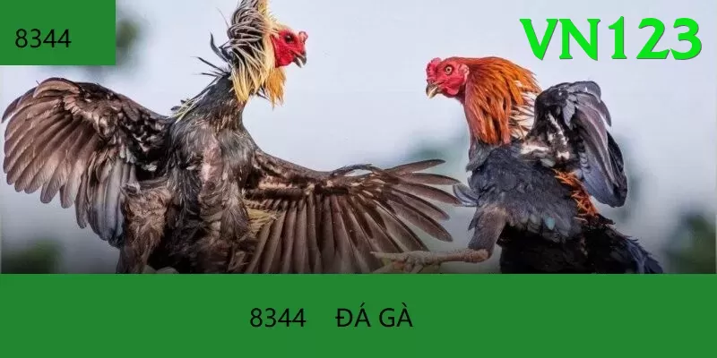 Đá Gà Trực Tiếp - vn123 - Bảo mật